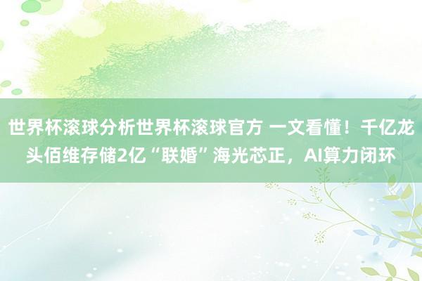 世界杯滚球分析世界杯滚球官方 一文看懂!千亿龙头佰维存储2亿“联婚”海光芯正,AI算力闭环