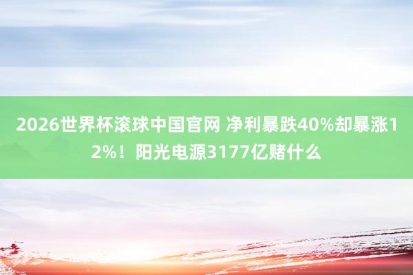 2026世界杯滚球中国官网 净利暴跌40%却暴涨12%!阳光电源3177亿赌什么