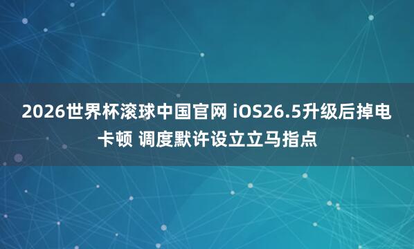 2026世界杯滚球中国官网 iOS26.5升级后掉电卡顿 调度默许设立立马指点