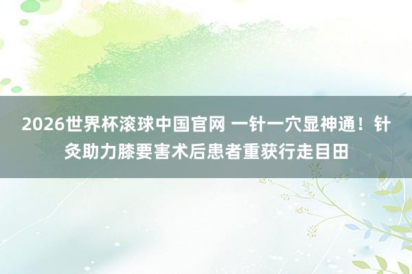2026世界杯滚球中国官网 一针一穴显神通!针灸助力膝要害术后患者重获行走目田
