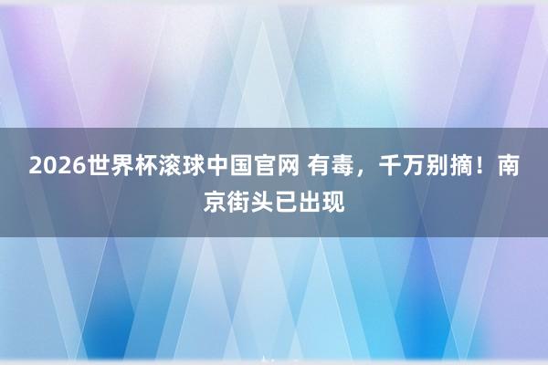 2026世界杯滚球中国官网 有毒,千万别摘!南京街头已出现