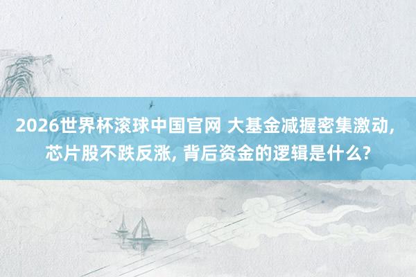 2026世界杯滚球中国官网 大基金减握密集激动, 芯片股不跌反涨, 背后资金的逻辑是什么?