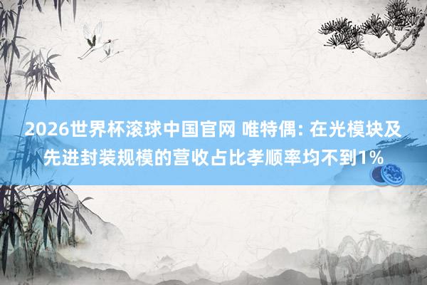 2026世界杯滚球中国官网 唯特偶: 在光模块及先进封装规模的营收占比孝顺率均不到1%