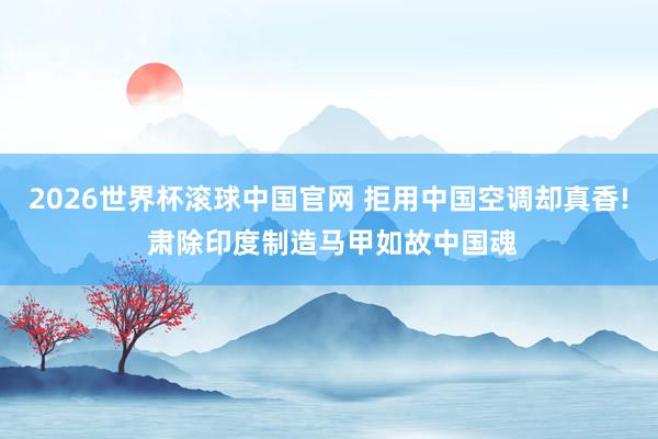 2026世界杯滚球中国官网 拒用中国空调却真香! 肃除印度制造马甲如故中国魂