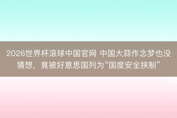 2026世界杯滚球中国官网 中国大蒜作念梦也没猜想,竟被好意思国列为“国度安全挟制”
