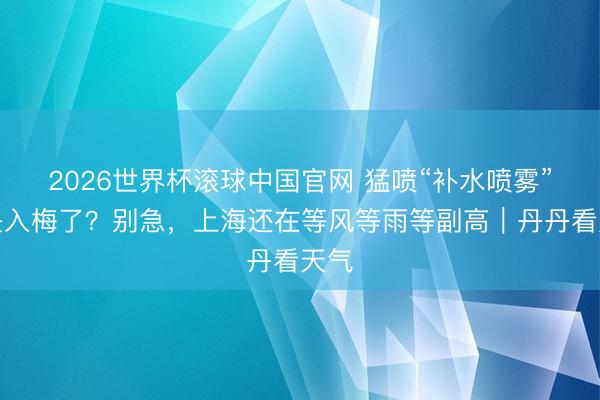 2026世界杯滚球中国官网 猛喷“补水喷雾”,是入梅了?别急,上海还在等风等雨等副高|丹丹看天气
