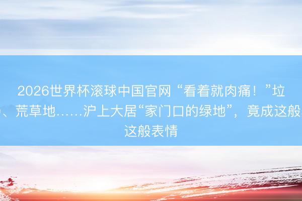 2026世界杯滚球中国官网 “看着就肉痛!”垃圾场、荒草地……沪上大居“家门口的绿地”,竟成这般表情
