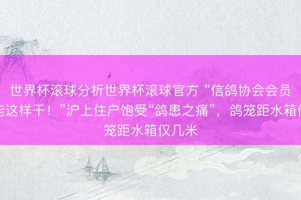 世界杯滚球分析世界杯滚球官方 “信鸽协会会员,就能这样干!”沪上住户饱受“鸽患之痛”,鸽笼距水箱仅几米